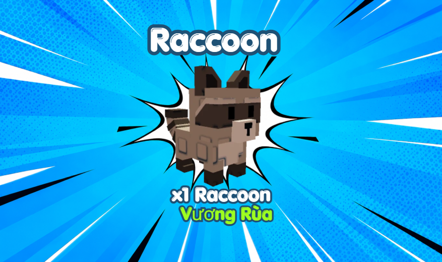 Raccoon